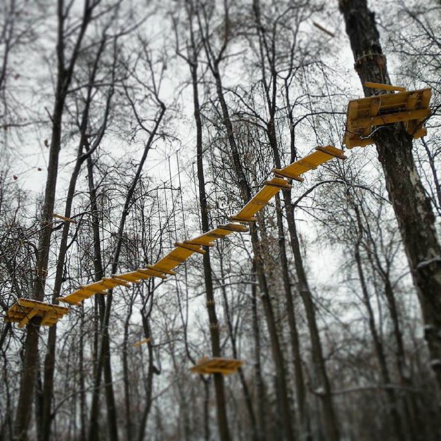 Заметил эти конструкции на деревьях центрального парка Зеленодольска.  Для подвесных мостиков они слабоваты. Так что это, как думаете?.. #Зеленодольск #Татарстан