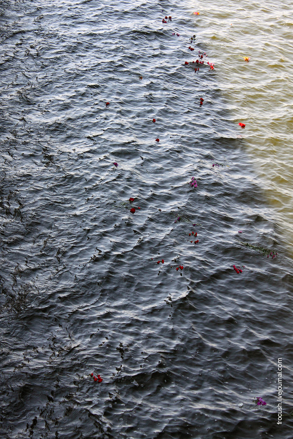 Возложение цветов на воду перед Мамаевым курганом с борта теплохода «Сергей Кучкин» 22 августа 2010 года